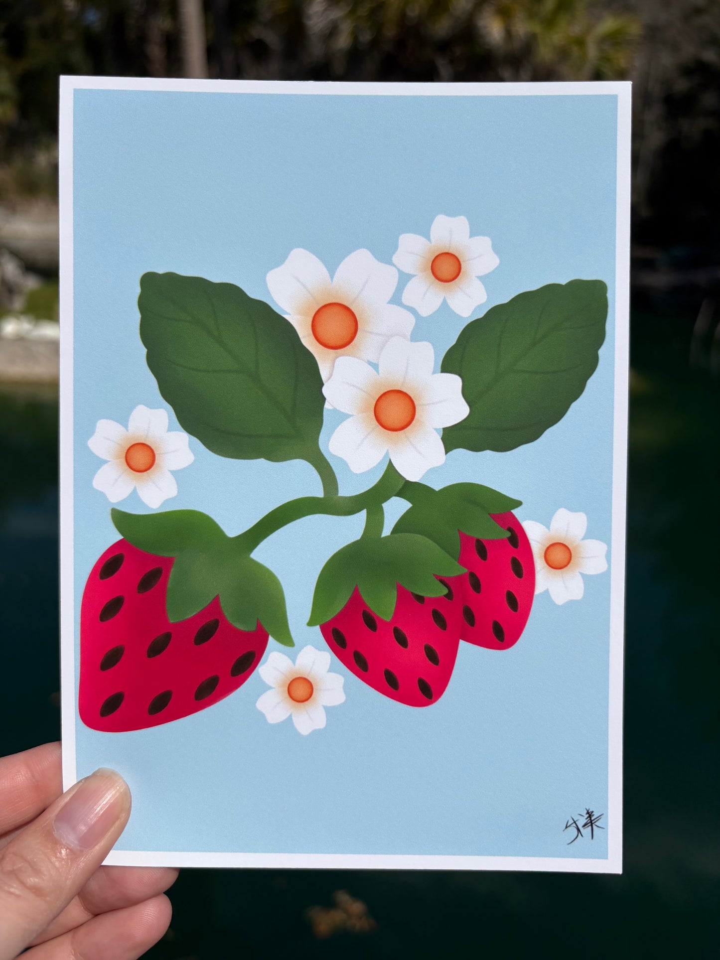 Strawberry And Blossoms